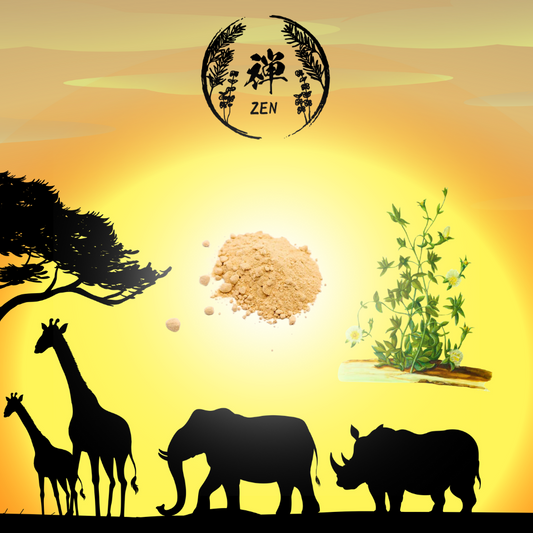 ZEN Kanna Powder | 高濃度抽出カンナパウダー